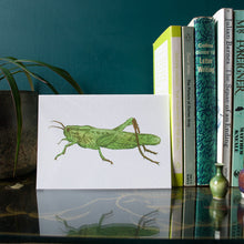 Load image into Gallery viewer, Interesting Insects: Grasshopper Greeting Card
