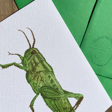 Load image into Gallery viewer, Interesting Insects: Grasshopper Greeting Card
