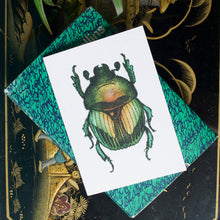 Load image into Gallery viewer, Interesting Insects: Green Beetle Greeting Card
