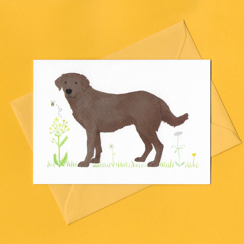 A stylised watercolour illustration on a luxury greeting card of a chocolate Labrador dog amongst grass and wildflowers and a bee, with a bright yellow envelope, on a yellow background