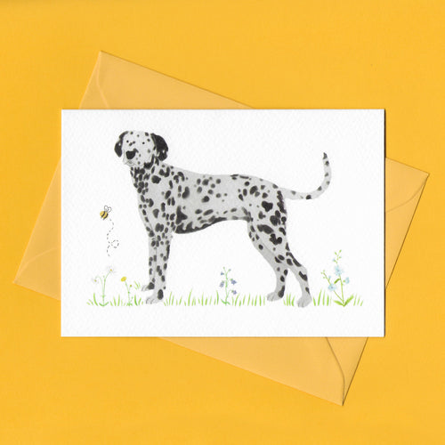 A stylised watercolour illustration on a luxury greeting card of a black and white Dalmatian dog amongst grass and wildflowers and a bee, with a bright yellow envelope, on a yellow background