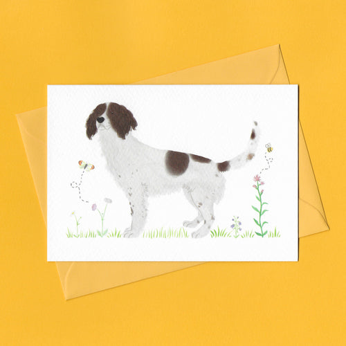 A stylised watercolour illustration on a luxury greeting card of a brown and white spaniel dog amongst grass and wildflowers and a bee and butterfly, with a bright yellow envelope, on a yellow background