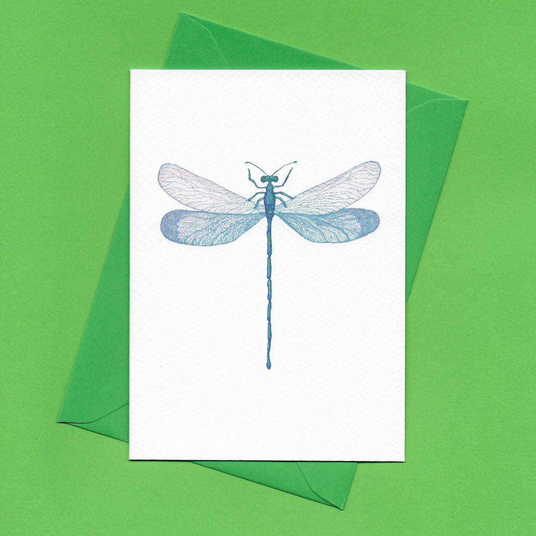 A detailed colour illustration on a greeting card of a blue iridescent dragonfly, with a bright green envelope, sitting on a green background