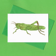 Load image into Gallery viewer, A detailed colour illustration on a greeting card of a green grasshopper, with a bright green envelope, sitting on a green background
