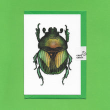 Load image into Gallery viewer, A detailed colour illustration on a luxury greeting card of a green iridescent beetle, with a bright green envelope held together with an eco friendly plastic free card catch sticker, sitting on a green background
