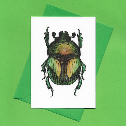 A detailed colour illustration on a luxury greeting card of a green iridescent beetle, with a bright green envelope, sitting on a green background