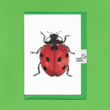 Load image into Gallery viewer, A detailed colour illustration on a luxury greeting card of a red ladybird with six black spots, with a bright green envelope held together with an eco friendly plastic free card catch sticker, sitting on a green background
