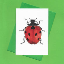 Load image into Gallery viewer, A detailed colour illustration on a luxury greeting card of a red ladybird with six black spots, with a bright green envelope, sitting on a green background
