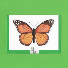 Load image into Gallery viewer, A detailed colour illustration on a luxury greeting card of an orange and black Painted Lady butterfly, with a bright green envelope held together with an eco friendly plastic free card catch sticker, sitting on a green background
