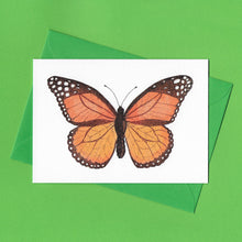 Load image into Gallery viewer, Interesting Insects Greeting Card Set
