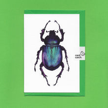 Load image into Gallery viewer, A detailed colour illustration on a luxury greeting card of a purple iridescent beetle, with a bright green envelope held together with an eco friendly plastic free card catch sticker, sitting on a green background
