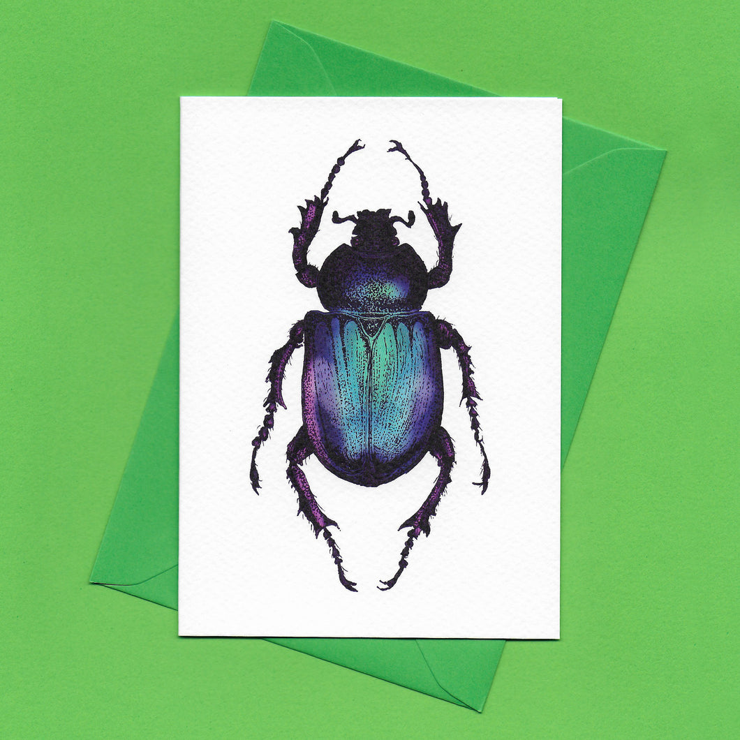 A detailed colour illustration on a luxury greeting card of a purple iridescent beetle, with a bright green envelope, sitting on a green background