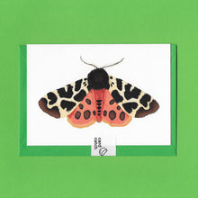 Load image into Gallery viewer, A detailed colour illustration on a luxury greeting card of an orange, brown and cream tiger moth, with a bright green envelope held together with an eco friendly plastic free card catch sticker, sitting on a green background
