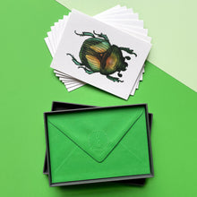 Load image into Gallery viewer, Interesting Insects Greeting Card Set
