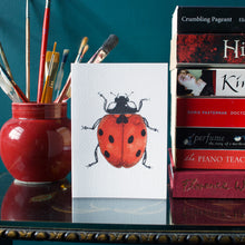 Load image into Gallery viewer, Interesting Insects: Ladybird Greeting Card
