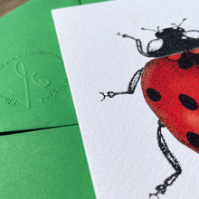 Load image into Gallery viewer, Interesting Insects: Ladybird Greeting Card
