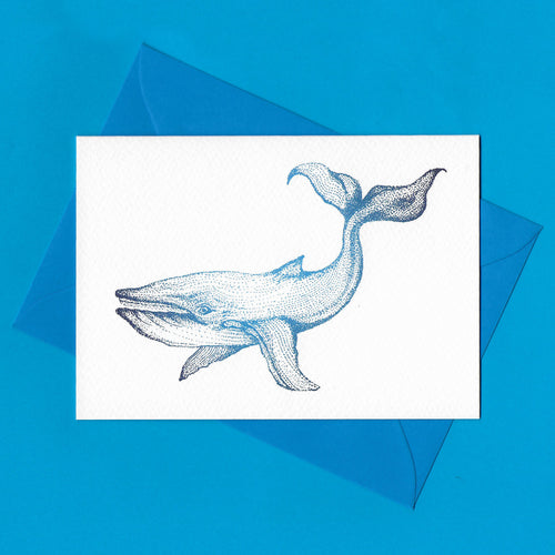 A detailed colour illustration on a luxury greeting card of a blue coloured whale, with a kingfisher blue envelope, sitting on a blue background