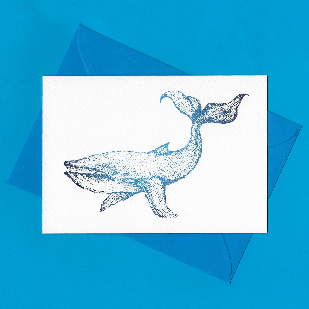 A detailed colour illustration on a luxury greeting card of a blue coloured whale, with a kingfisher blue envelope, sitting on a blue background