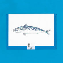 Load image into Gallery viewer, A detailed colour illustration on a luxury greeting card of a blue coloured mackerel fish, with a kingfisher blue envelope held together with an eco friendly plastic free card catch sticker, sitting on a blue background
