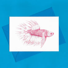 Load image into Gallery viewer, A detailed colour illustration on a luxury greeting card of a bright pink coloured betta fish, with a kingfisher blue envelope, sitting on a blue background
