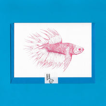 Load image into Gallery viewer, A detailed colour illustration on a luxury greeting card of a bright pink coloured betta fish, with a kingfisher blue envelope held together with an eco friendly plastic free card catch sticker, sitting on a blue background
